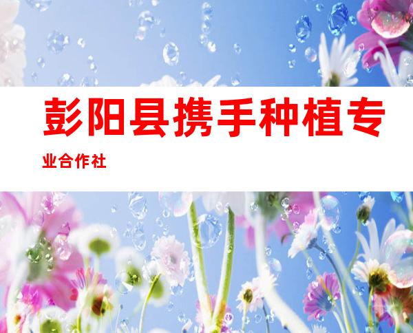 彭阳县携手种植专业合作社